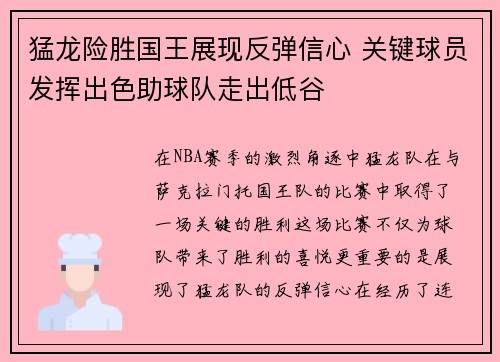猛龙险胜国王展现反弹信心 关键球员发挥出色助球队走出低谷